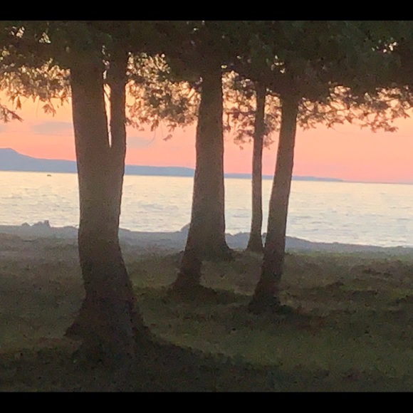 Meet your Posher, Doriann - Picture 1 of 1